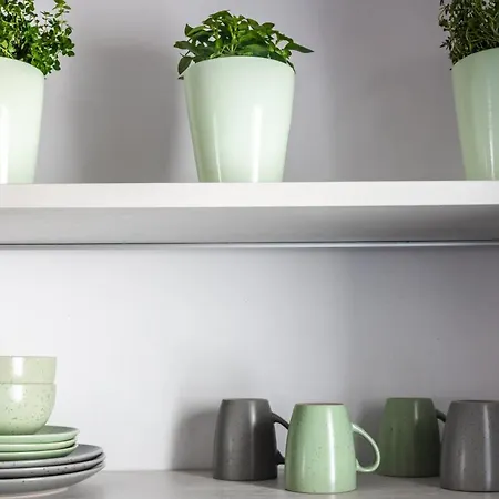 Eclipse Tales * אדאמאס